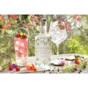 Craft Gin Club - Otterbeck Distillery Cotton Garden Gin 70cl (42% ABV) - Premium Gift Hamper | Wowcher