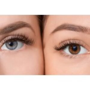 ABT-Certified Lash & Brows Online Course - Kirren Karara | Wowcher