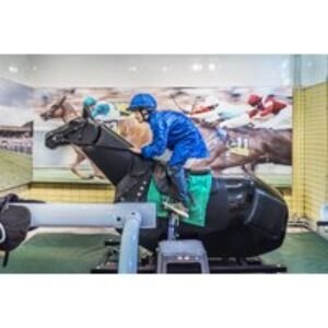 Admission for One Adult to The National Horseracing Museum - Newmarket | Wowcher