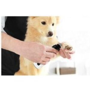 Silent Groom Pro Rechargeable Pet Nail Grinder | Wowcher