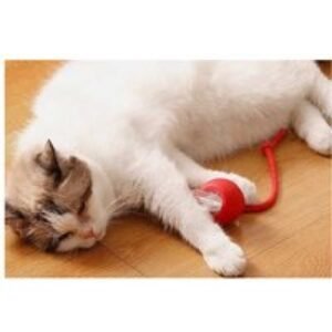 Electric Interactive Cat Rolling Ball Toy | Wowcher