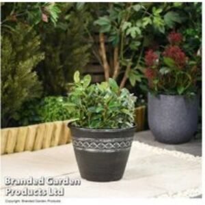Roman-Greco Weatherproof Outdoor Planter - 27.5cm Lightweight Pot | Wowcher