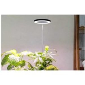 LED Grow Light with 20 Full Spectrum LEDs | Wowcher