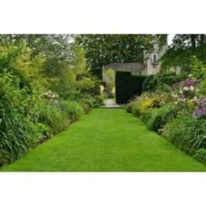 Lawn Treatment & Weed/Moss Control for Up to 400 Sq Metres - Green Sleeves