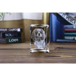 Personalised 3D Laser Engraved Crystal Photo Gift - Premium Handcrafted Keepsake | Wowcher