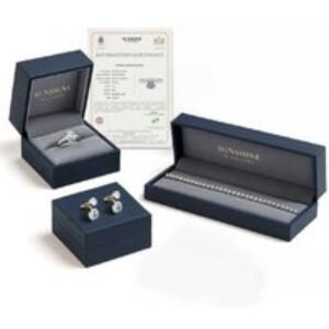 1.00 Carat Moissanite Diamond Stud Earrings in 925 Sterling Silver - D Colour