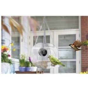 Smart Bird Feeder with Camera for Closeup Shots 1080P | Wowcher