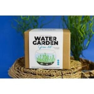 DIY Mini Water Garden Kit - Gift Republic | Wowcher