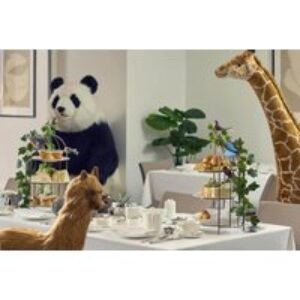 4* Luxury Animal Kingdom-Themed Afternoon Tea at The Queen's Gate Hotel - South Kensington | Wowcher