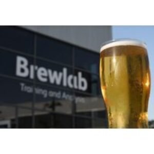 Guided Brewlab Beer Tasting & Artisan Cheese Pairing Experience